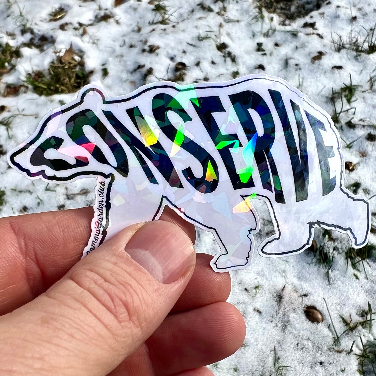 Icy Arctic Polar Bear Sticker