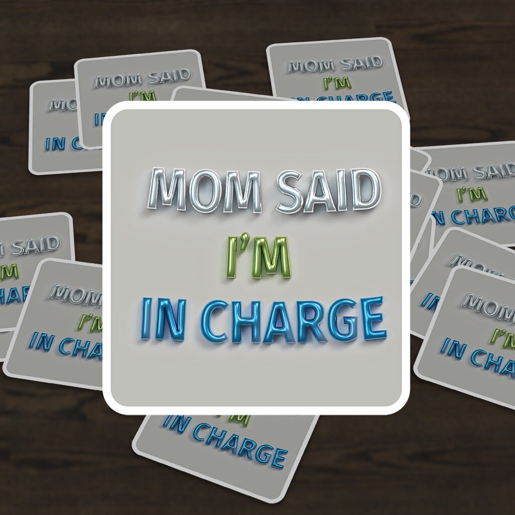 Sarcastic Sticker Pack - Bossy Foil Balloon Banner Look- Kindle or Laptop Stickers