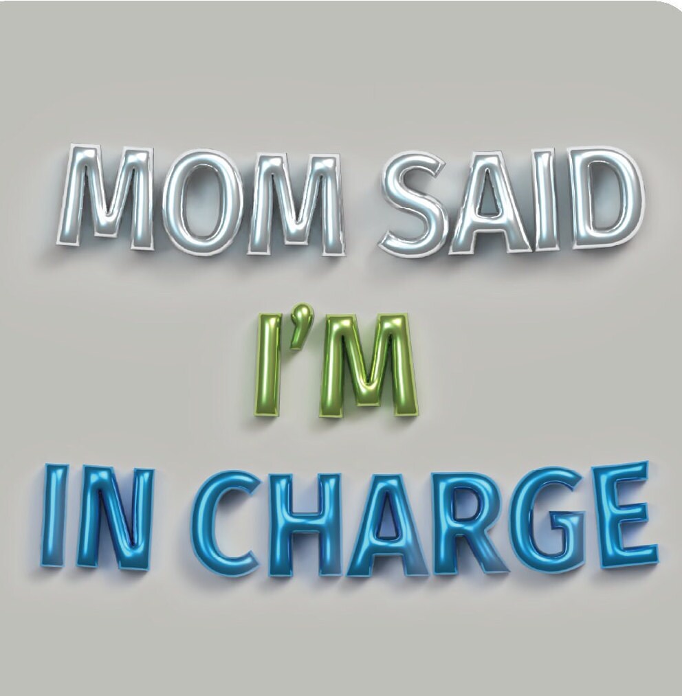 Sarcastic Sticker Pack - Bossy Foil Balloon Banner Look- Kindle or Laptop Stickers