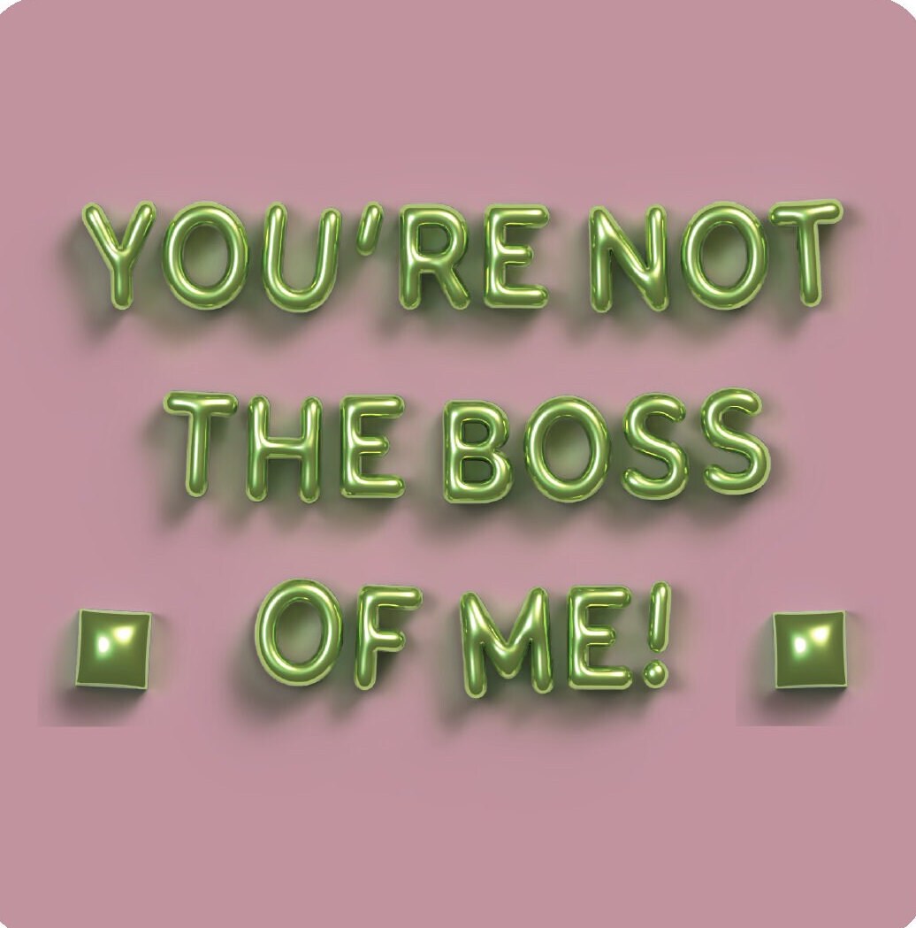 Sarcastic Sticker Pack - Bossy Foil Balloon Banner Look- Kindle or Laptop Stickers